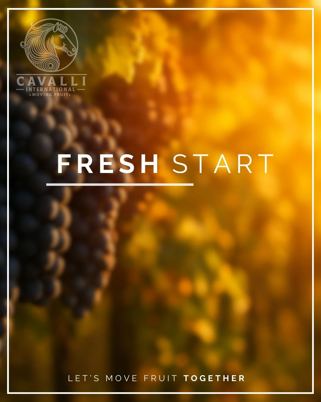 Cavalli campaign showing a new season of fresh grapes